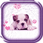 puppy live wallpaper android application logo